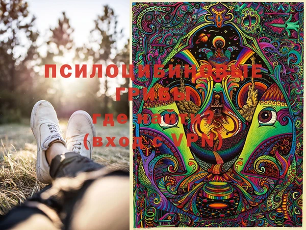 круглые Алзамай