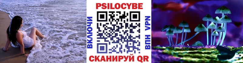 Псилоцибиновые грибы Psilocybe  Пушкино 
