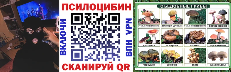 Галлюциногенные грибы Psilocybe Пушкино