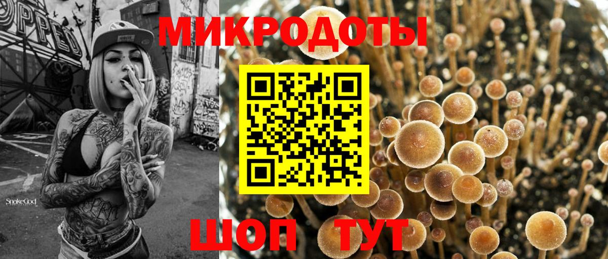 Псилоцибиновые грибы мухоморы  Псилоцибиновые грибы мицелий  Пушкино  Вход с VPN 